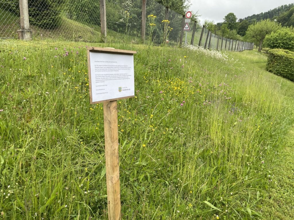 Blühende Wiese mit Infotafel